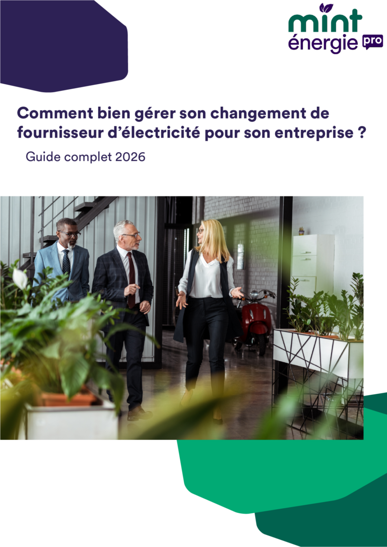 guide-comment-changer-de-fournisseur-delectricite-pour-votre-entreprise.