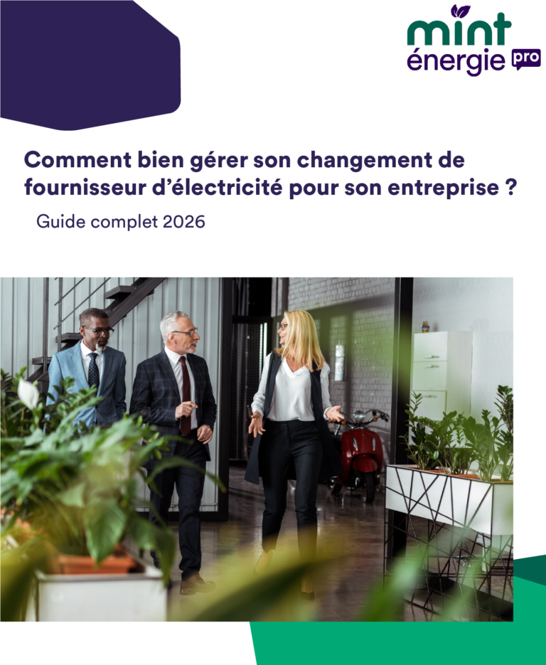 guide-comment-changer-de-fournisseur-delectricite-pour-votre-entreprise.